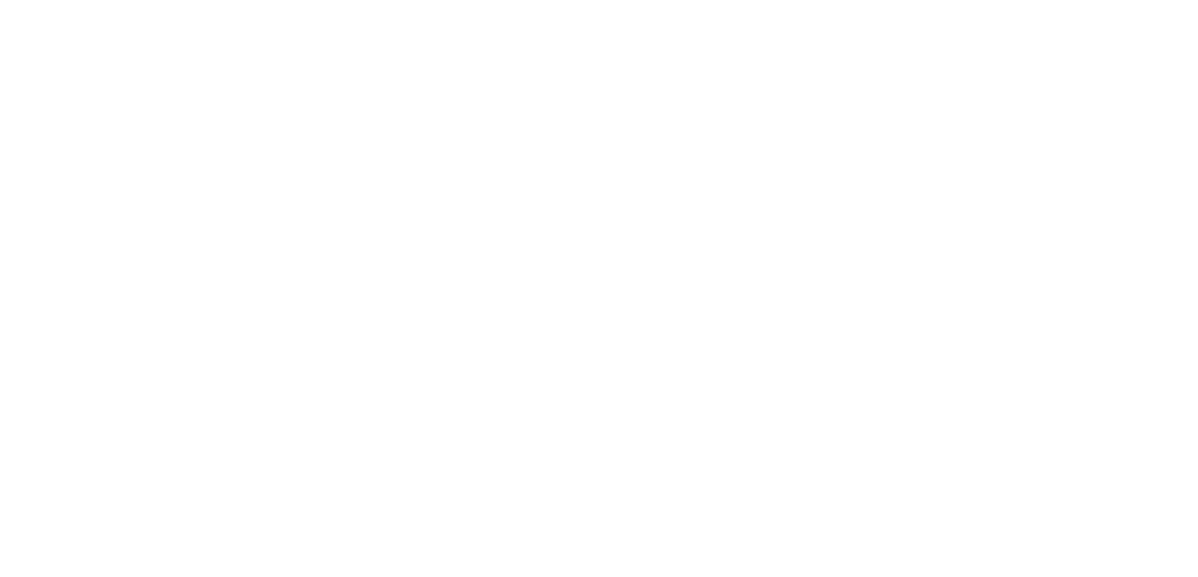 nc state university logo